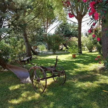 Séjour à la campagne La Ginestrella Civitella D'Arna
