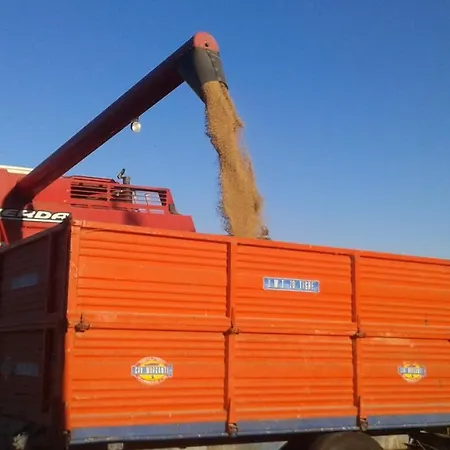 컨트리하우스 La Ginestrella Civitella D'Arna