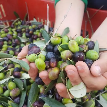 Country house Agriturismo La Ginestrella Civitella D'Arna