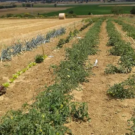 Country house Agriturismo La Ginestrella